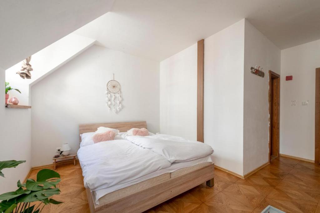 Beethoven Apartment Bratislava Esterno foto